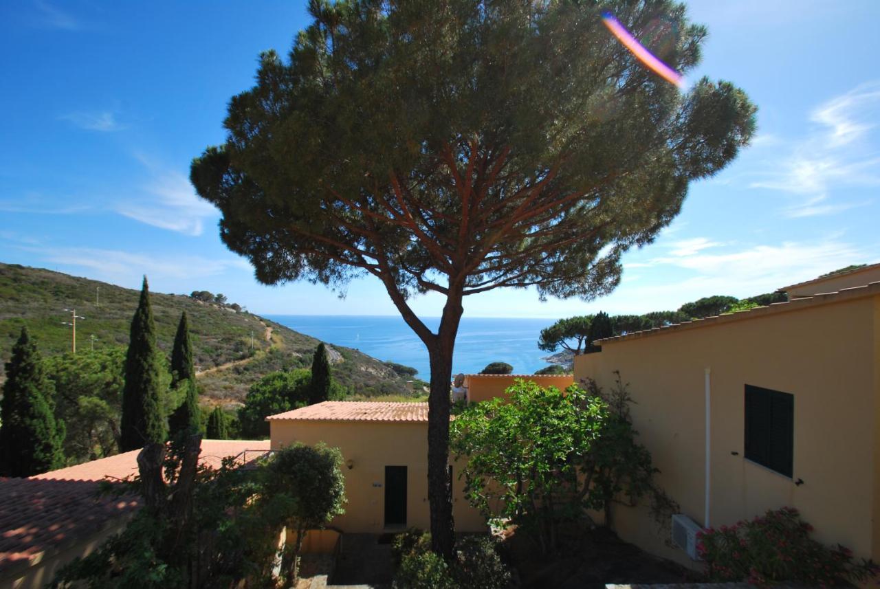 Grotta Azzurra Apartment - Cavoli - Terrazza Vista Mare, Clima E Parcheggio San Piero in Campo (Isola d'Elba) Exterior foto
